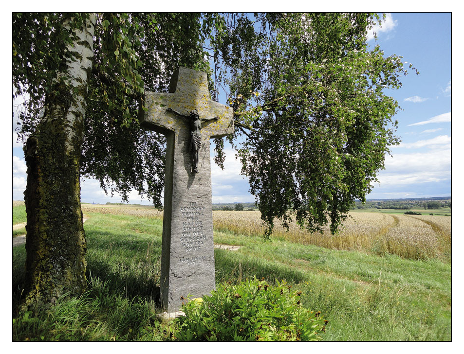 Jakobsweg Ulm - Konstanz 2011 (1)