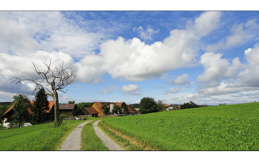 Jakobsweg Ulm - Konstanz 2011 (8)