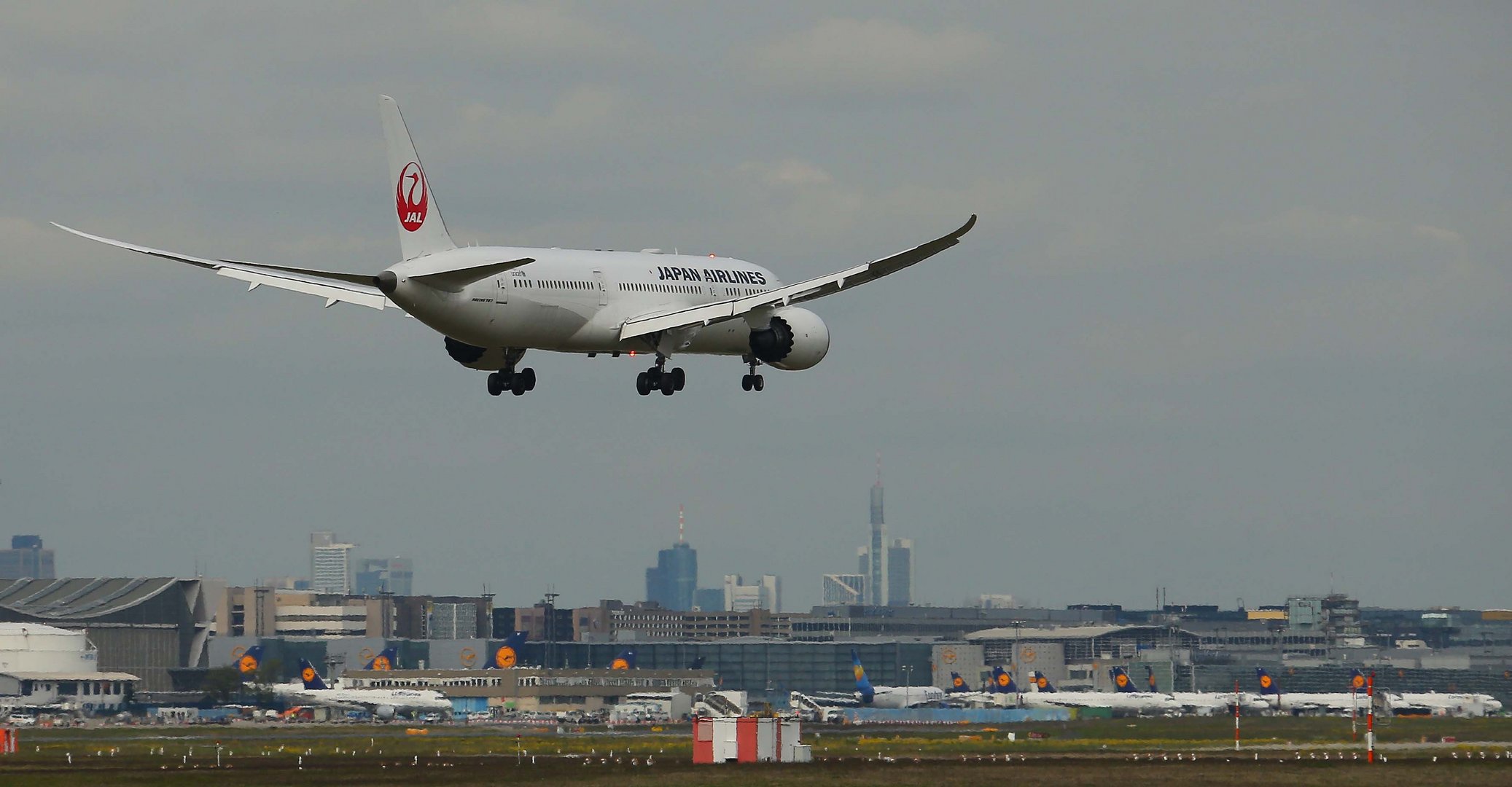 JAL 787-9