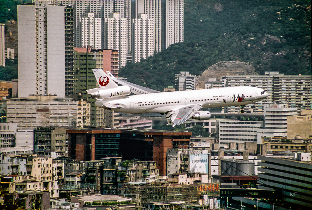 JAL Bird in China