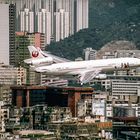 JAL Bird in China