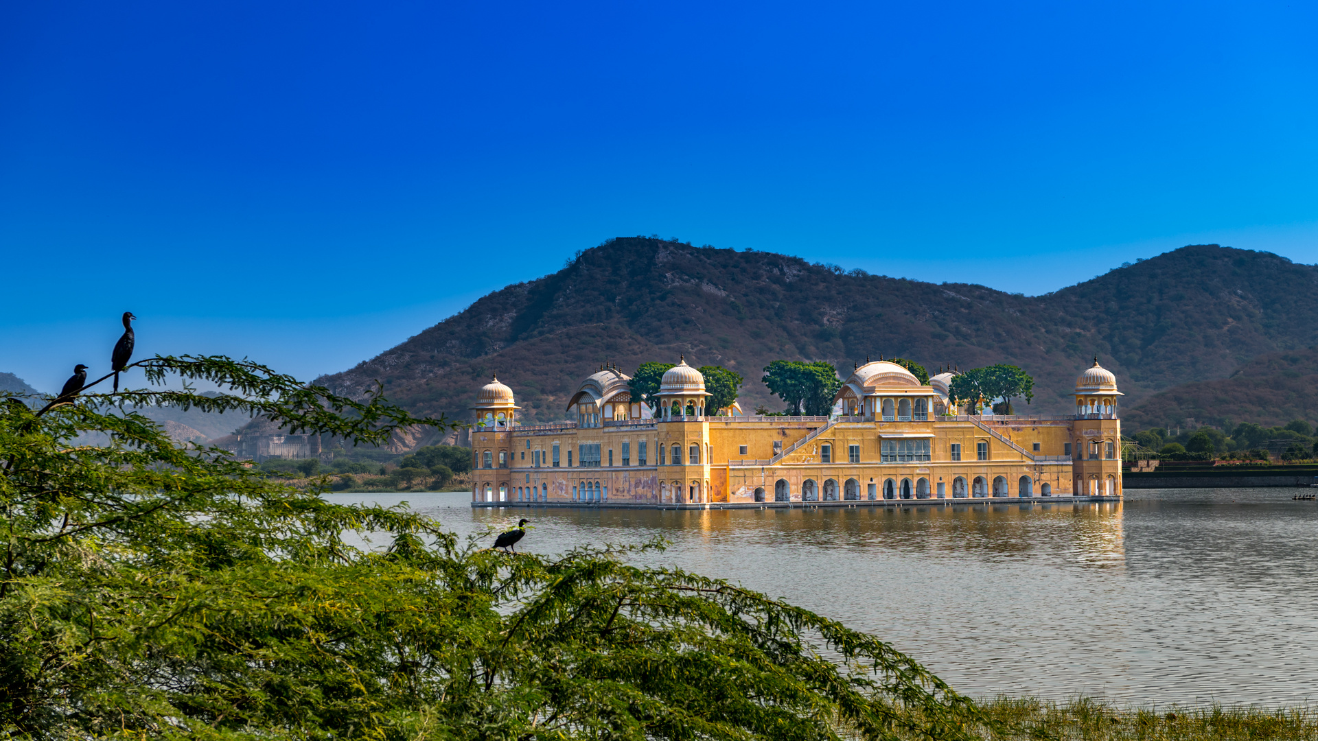 Jal Mahal India