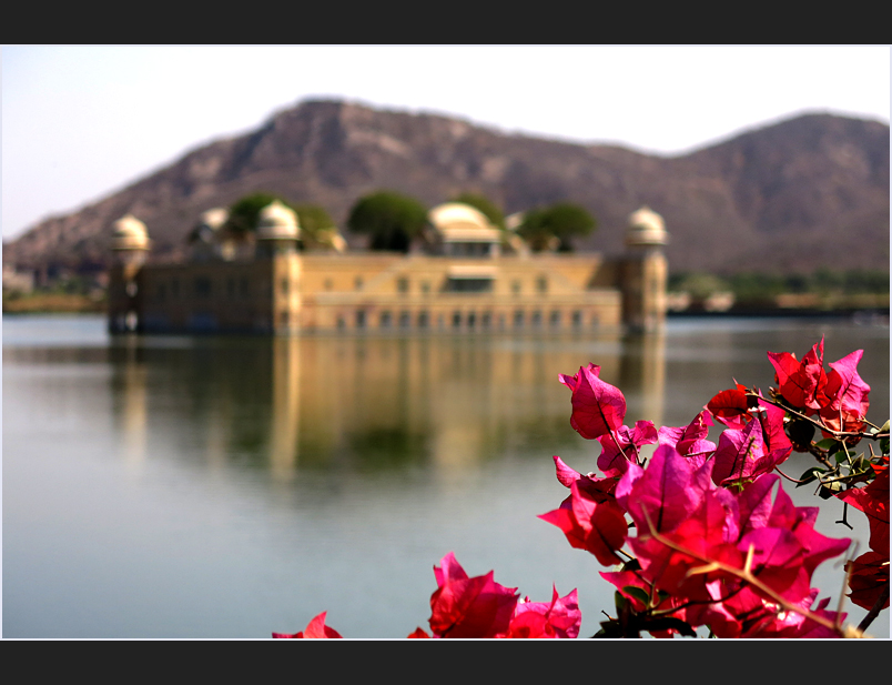 Jal Mahal Palace