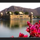 Jal Mahal Palace