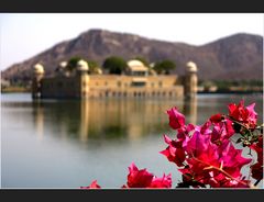 Jal Mahal Palace