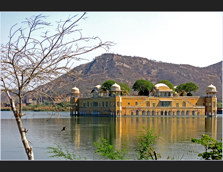 Jal Mahal Palace