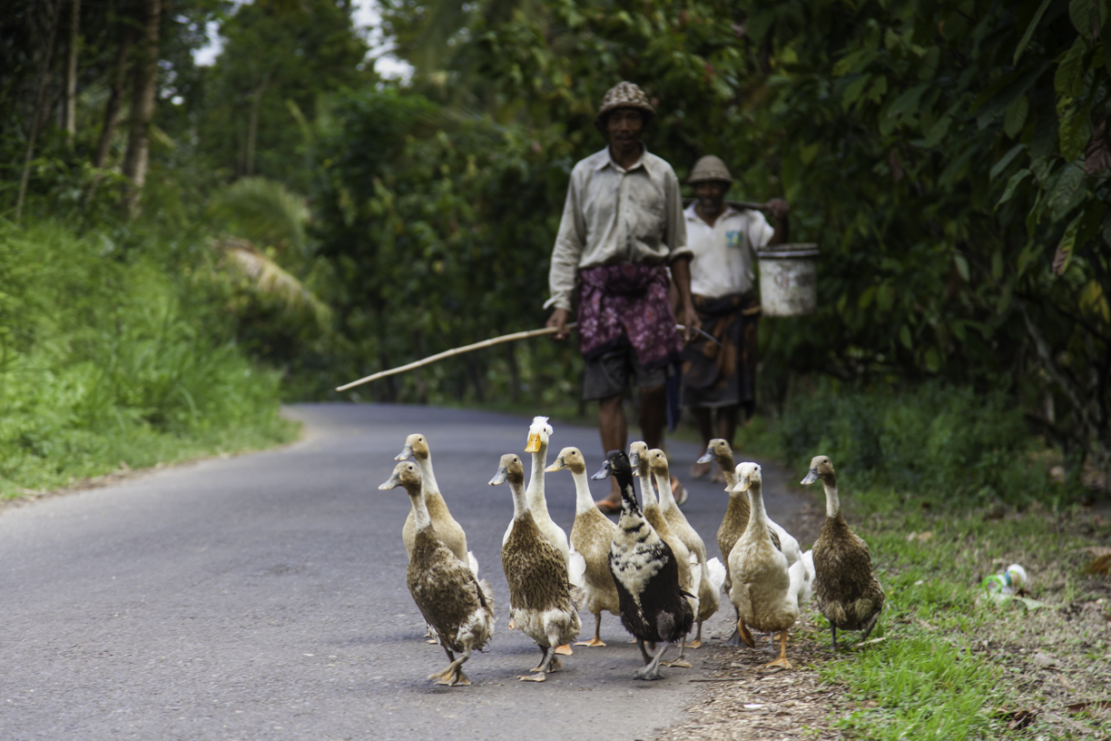 Jalan Jalan