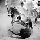 Jallikattu Black & White