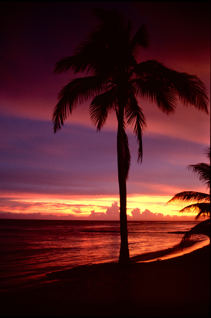 Jamaica 1989: Cielo in fiamme al tramonto!