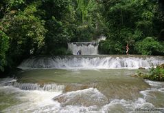 Jamaica - Black River I