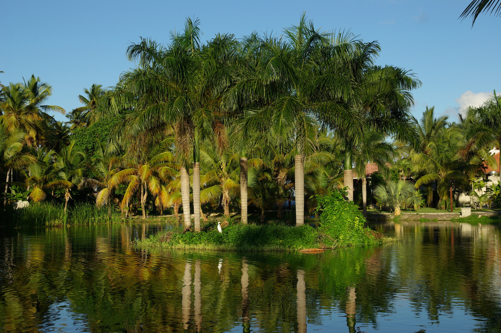 Jamaica, Karibik