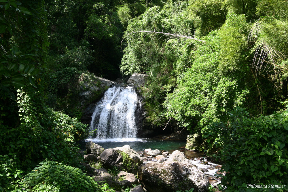 Jamaica - Wasserfall