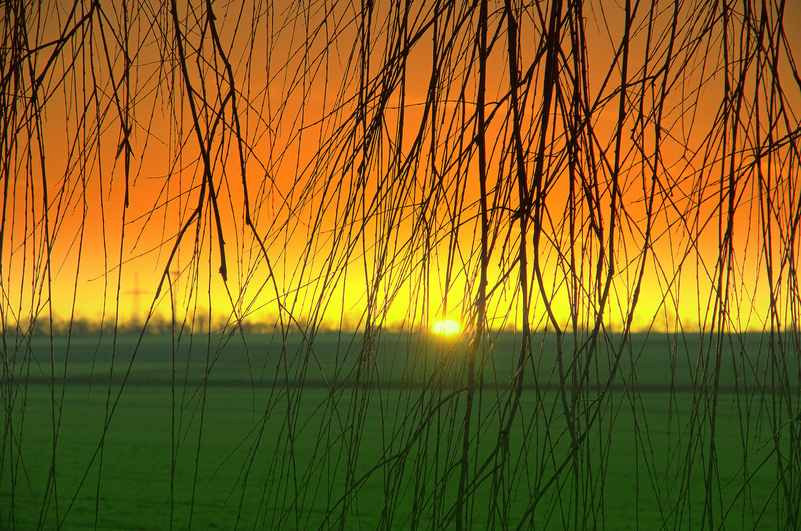 jamaika sunrise beim eutinger bahnhof