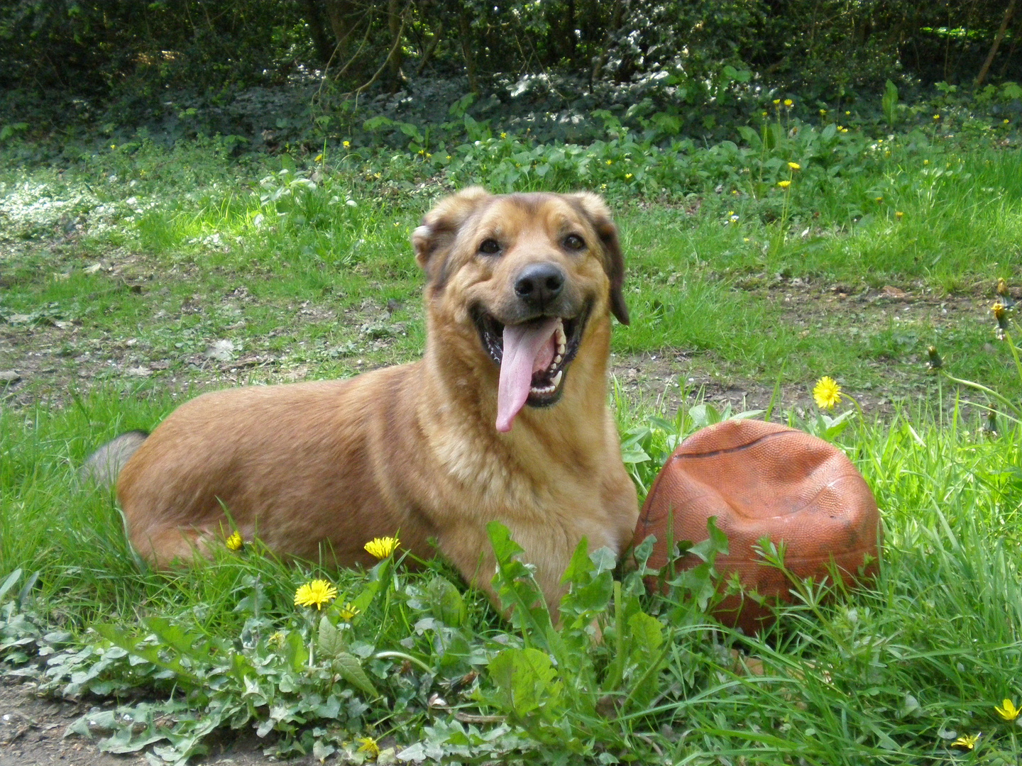 jamais sans le balon!