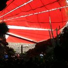 Jameos del Agua