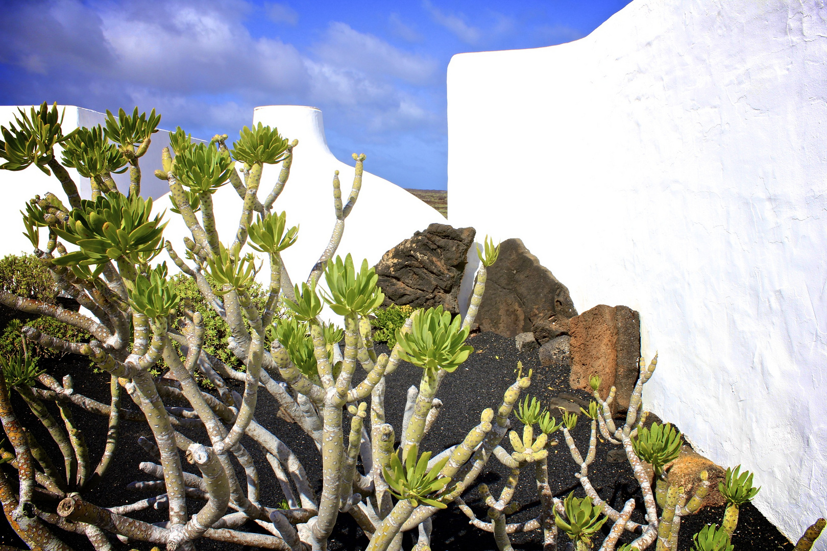 Jameos del Agua