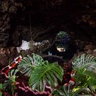 Jameos del Agua