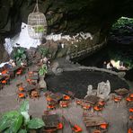 Jameos del Agua, Cesar Manrique