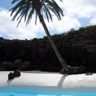 jameos del aqua (César Manrique)