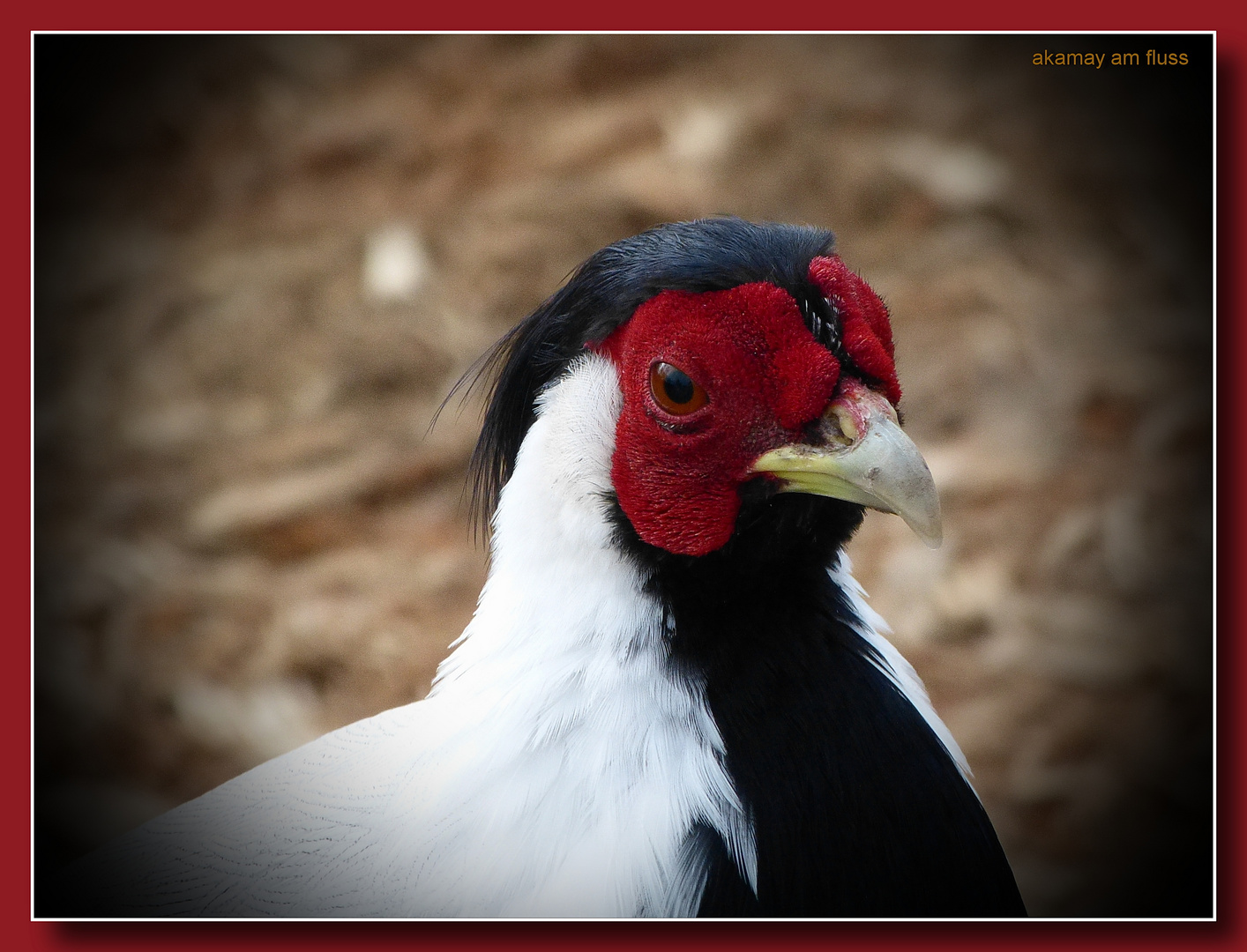 James Bond im Tierpark