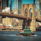 James E. Brown and the Brooklyn Bridge