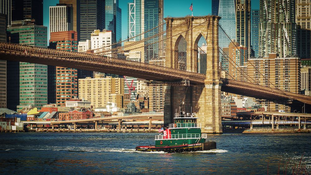James E. Brown and the Brooklyn Bridge