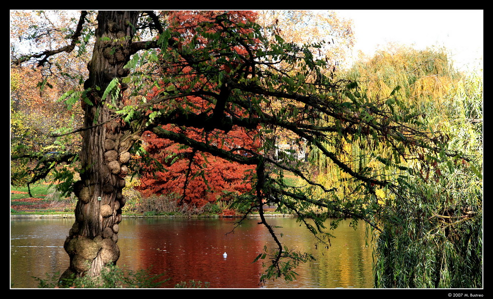 Jame's Park...Londra