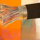 James Rosenquist - Horse Blinders (Ausschnitt)