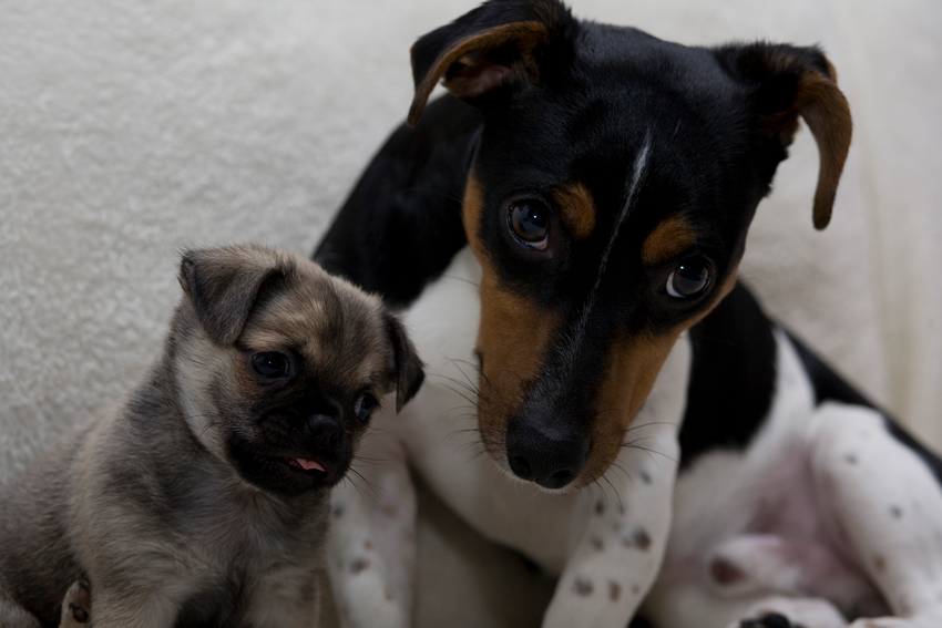 James und Stanley