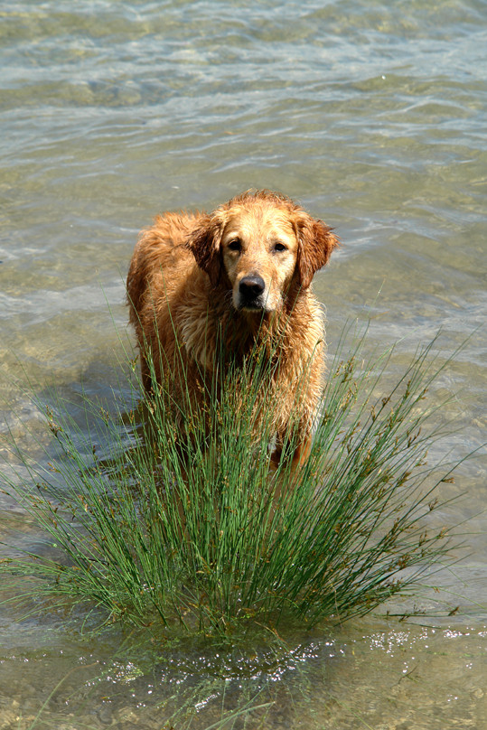 jamy und das wasser:-)