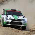 Jan Kopecký und Pavel Dresler - WRC Rally Italia Sardegna 2017