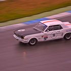 Jan Lammers im 65er Mustang