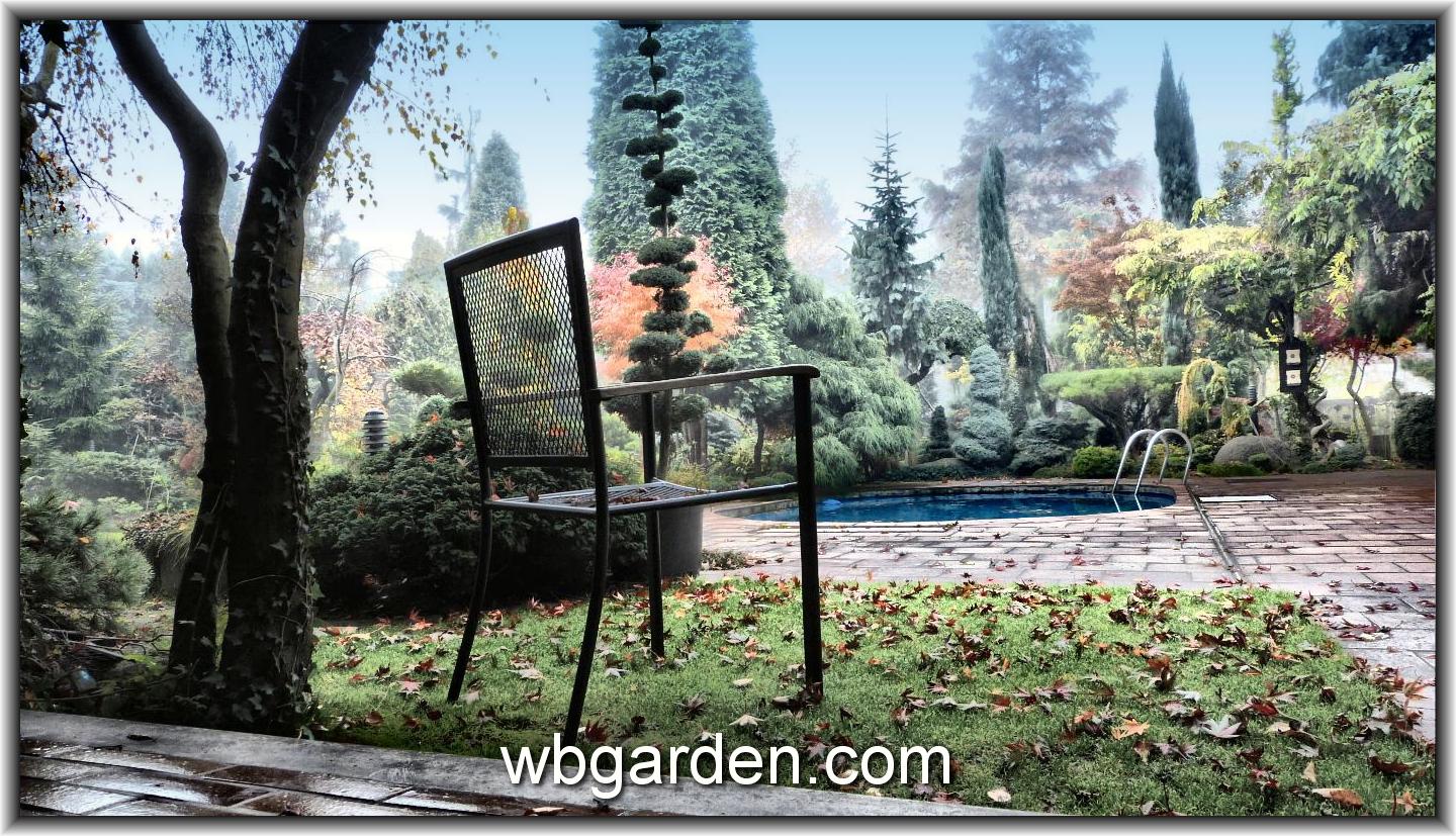 Jan Slama witch´s brooms and dwarf conifers garden - wbgarden.com