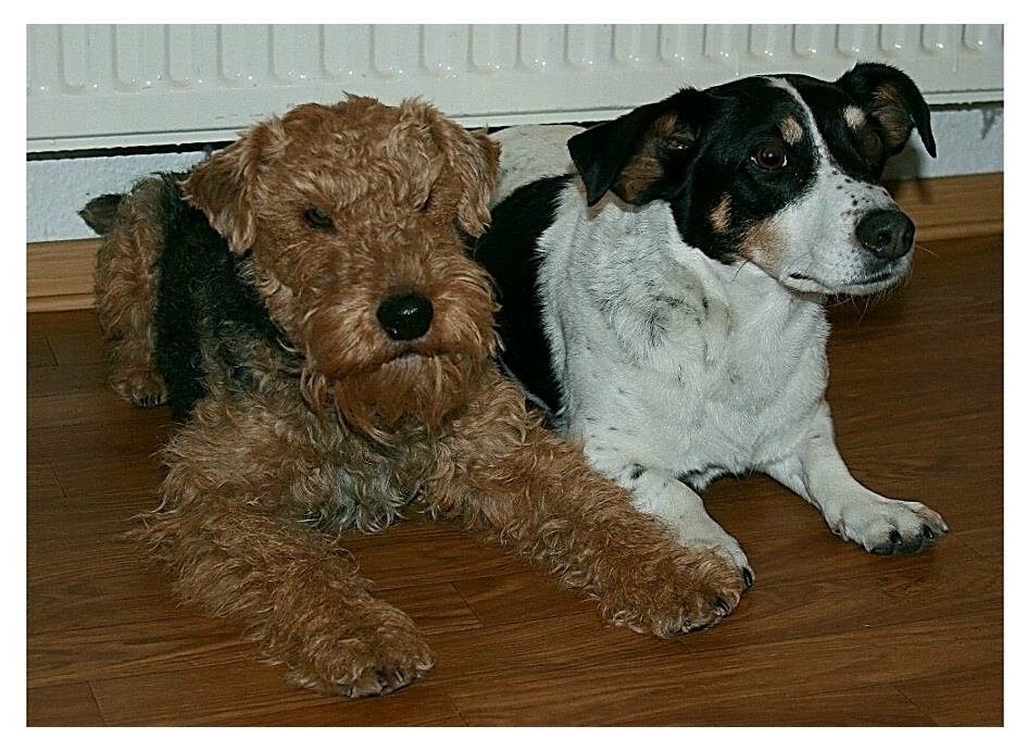 Jana & Moritz, unsere Gäste aus Schöningen.