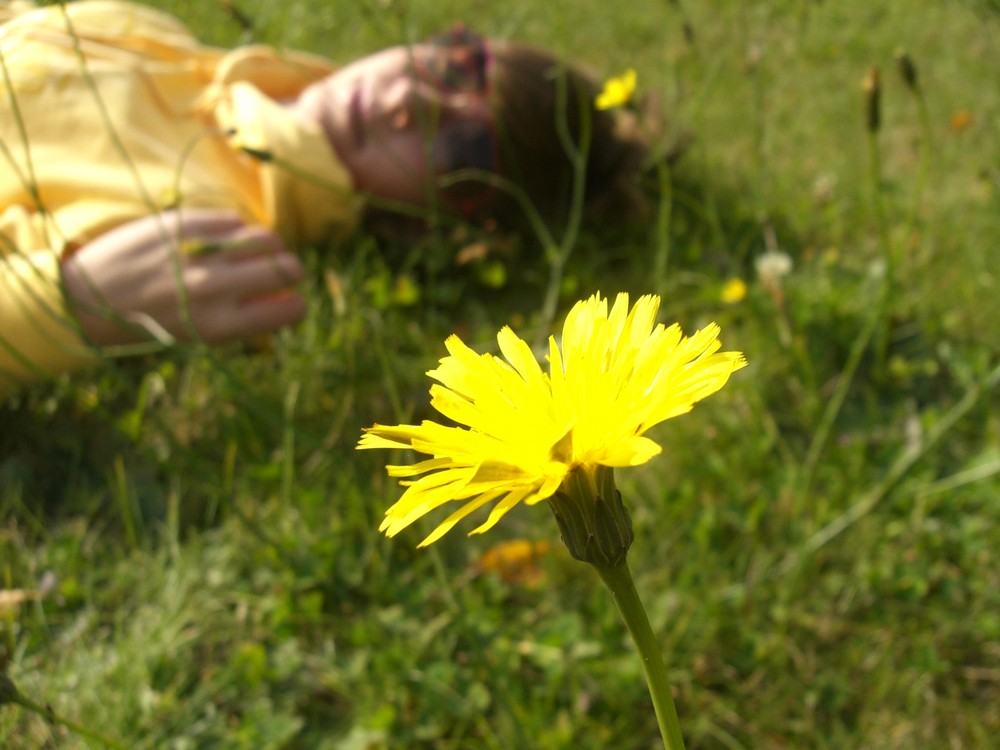 Jana und die Blume