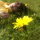 Jana und die Blume