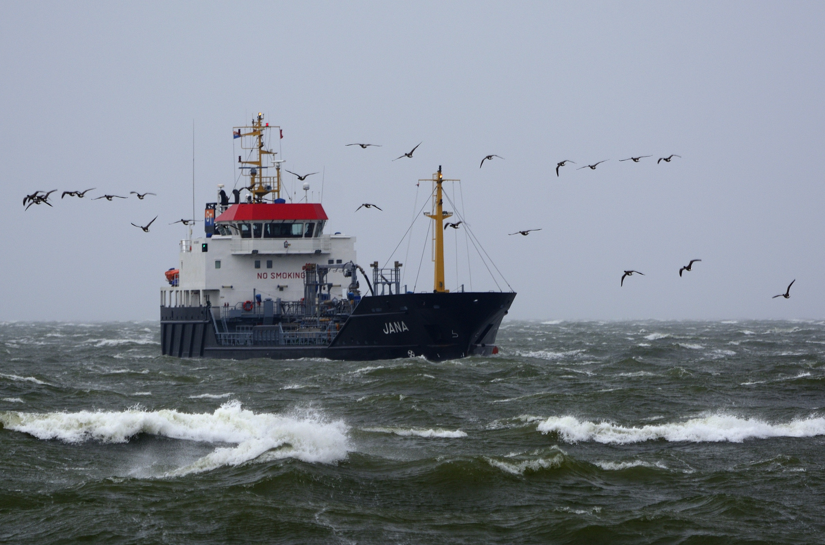 JANA und die Gänse und Wind unf Wellen