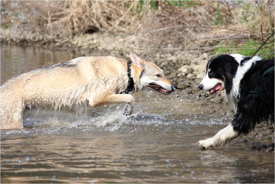 Jana und Flash #2