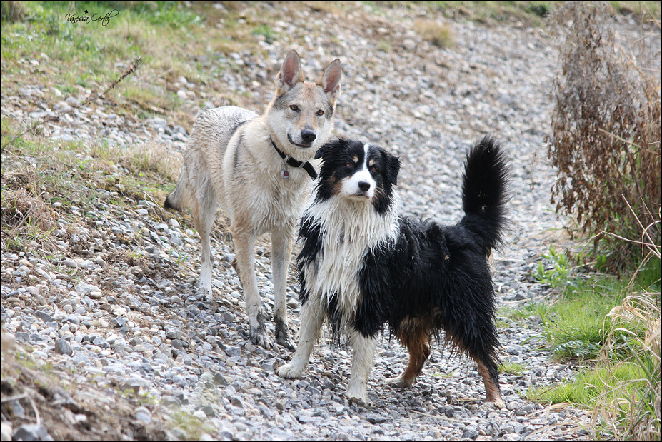 Jana und Flash