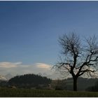 Janaurstimmung im Emmental