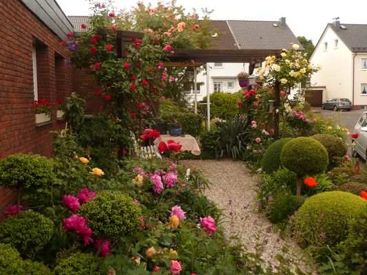 Jani´s Vorgarten im Mai