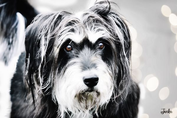 Janka wünscht Euch schon mal ein tolles Wochenende