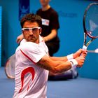 Janko Tipsarevic