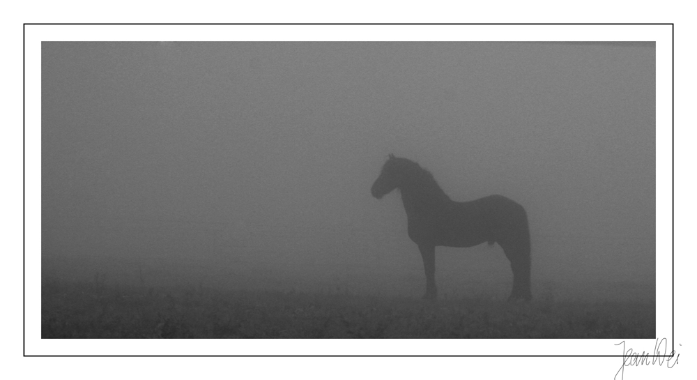 Jannes im Nebel