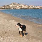 Jano am Strand