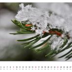 Januar 2011 Natur