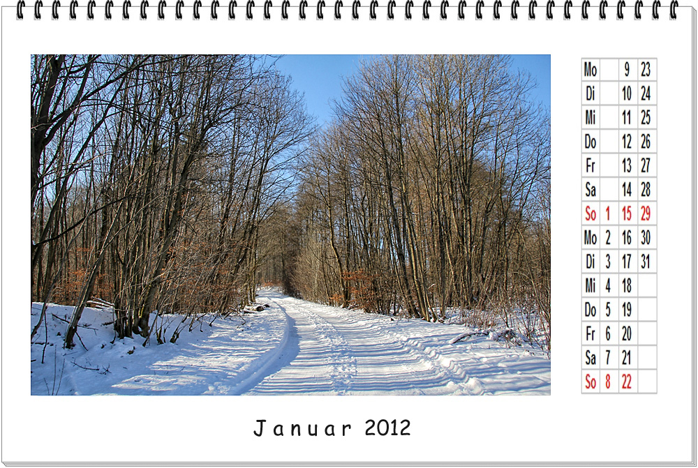 JANUAR 2012