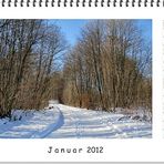 JANUAR 2012