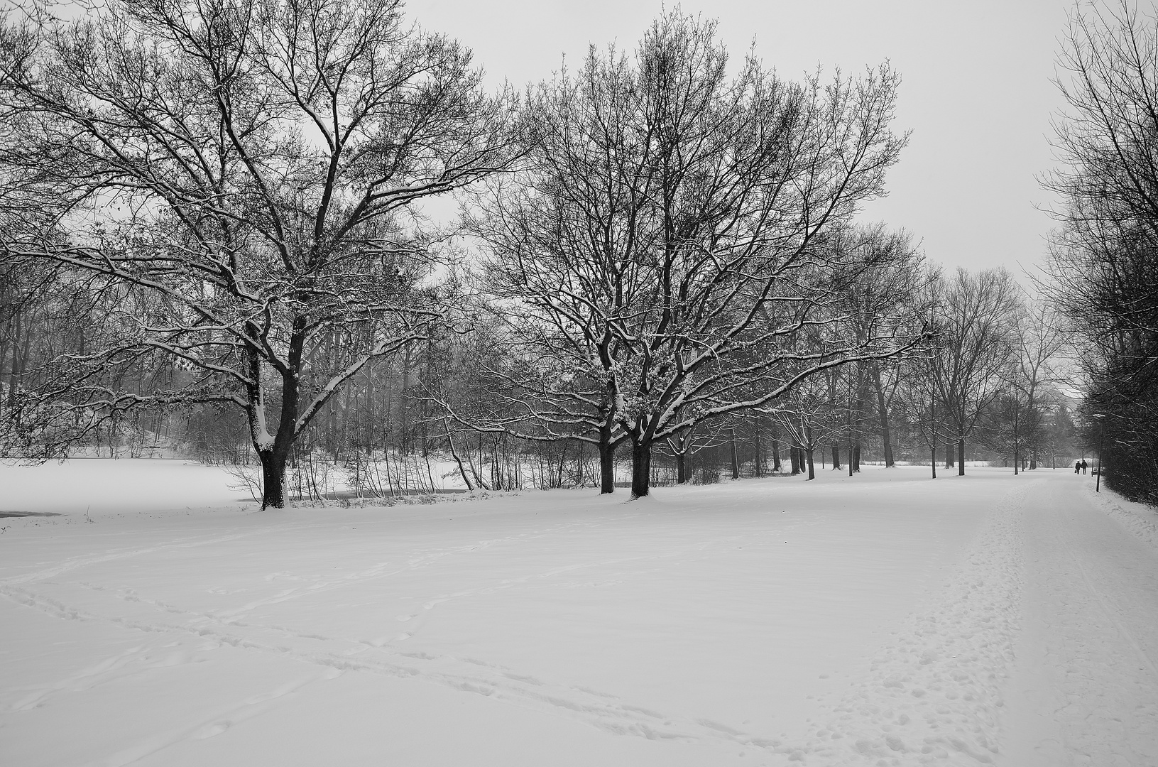 Januar 2013 Fürther Stadtpark