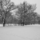 Januar 2013 Fürther Stadtpark